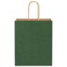 250 Green Paper Bags with Handles - Eco-Friendly & Durable