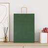 50 Green Paper Bags with Handles - Eco-Friendly & Durable