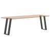 U-Shaped Console Table Legs - Anthracite Steel - 38x(72-73)cm