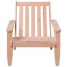 Garden Adirondack Chairs 2 pcs - Solid Douglas Wood | Hipo Market