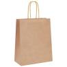 Brown Paper Bags with Handles - 250 pcs | Eco-Friendly Packaging