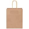 Brown Paper Bags with Handles - 250 pcs | Eco-Friendly Packaging