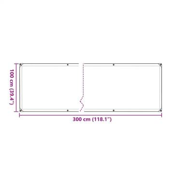 Clear Tarpaulin with Eyelets 1x3 m – Durable Protection