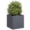  Planter Anthracite 40x40x40 cm Cold-rolled Steel Colour steel/anthracite Size 40 x 40 x 40 cm Quantity in Package 1 