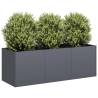  Planter Anthracite 120x40x40 cm Cold-rolled Steel Colour steel/anthracite Size 120 x 40 x 40 cm Quantity in Package 1 