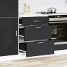 Black Kitchen Base Cabinet - Engineered Wood Storage Solution