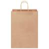 Brown Paper Bags with Handles - 50 pcs | Eco-Friendly Packaging