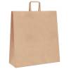 50 Brown Paper Bags with Handles - Durable & Recyclable