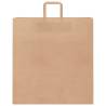 50 Brown Paper Bags with Handles - Durable & Recyclable