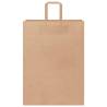 Sustainable Brown Paper Bags with Handles - 250 pcs | HipoMarket