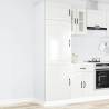  Kitchen Cupboard Kalmar High Gloss White Engineered Wood Colour high gloss white Quantity in Package 1 Model cupboard 60 cm Number of 