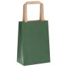 Eco-Friendly Green Paper Bags 250 pcs with Handles - 15x8x21 cm