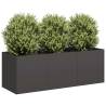  Planter Black 120x40x40 cm Cold-rolled Steel Colour steel/black Size 120 x 40 x 40 cm Quantity in Package 1 