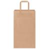 Eco-Friendly Brown Paper Bags - 250 Pcs with Handles