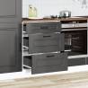 Kalmar Black Kitchen Base Cabinet - Engineered Wood Storage