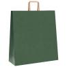 50 Green Paper Bags with Handles - Durable & Eco-Friendly