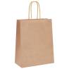 Paper Bags 50 pcs with Handles - Brown Kraft 18x8x22 cm