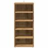 Shoe Cabinet Artisan Oak - Stylish Storage Solution | HipoMarket