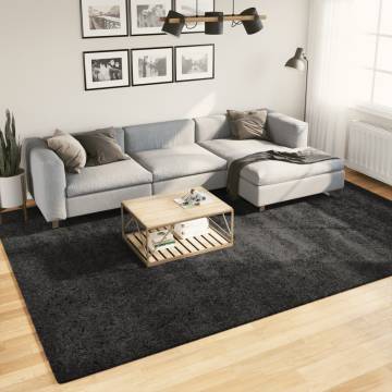 Shaggy Rug High Pile Modern Anthracite - 240x340 cm