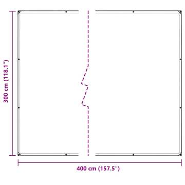 Durable Clear Tarpaulin with Eyelets - 3x4 m Polyethylene