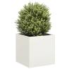  Planter White 40x40x40 cm Cold-rolled Steel Colour steel/white Size 40 x 40 x 40 cm Quantity in Package 1 