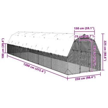 Durable Chicken Run with Roof - 2.5x12x2.25m Galvanised Steel