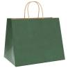 Eco-Friendly Green Paper Bags with Handles - 50 pcs