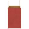 Red Paper Bags with Handles - 250 pcs | Eco-Friendly Packaging