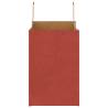 Red Paper Bags with Handles - 50 pcs | Eco-Friendly Packaging