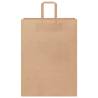 Sustainable Brown Paper Bags with Handles - 50 pcs | HiPoMarket