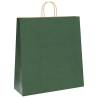 Buy 50 Green Paper Bags with Handles | Eco-Friendly Packaging