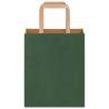 Eco-Friendly Green Paper Bags with Handles - 50 pcs | Hipo Market