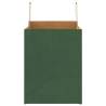 Eco-Friendly Green Paper Bags with Handles - 250 pcs