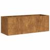 Planter Rusty 120x40x40 cm | Stylish Weathering Steel Planter