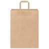 Brown Paper Bags 250 pcs with Handles | Eco-Friendly Packaging