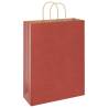 50 Red Paper Bags with Handles | Eco-Friendly & Durable