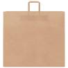 Brown Paper Bags with Handles – 250 Pcs | Eco-Friendly Choice