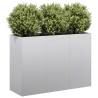  Planter 120x40x80 cm Galvanised Steel Colour galvanised steel Size 120 x 40 x 80 cm Quantity in Package 1 