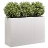  Planter 120x40x80 cm Stainless Steel Colour stainless steel Size 120 x 40 x 80 cm Quantity in Package 1 