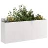  Planter 200x40x80 cm Stainless Steel Colour stainless steel Size 200 x 40 x 80 cm Quantity in Package 1 