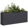  Planter Black 200x40x80 cm Cold-rolled Steel Colour steel/black Size 200 x 40 x 80 cm Quantity in Package 1 