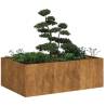  Planter Rusty 120x80x40 cm Weathering Steel Colour weathering steel Size 120 x 80 x 40 cm Quantity in Package 1 