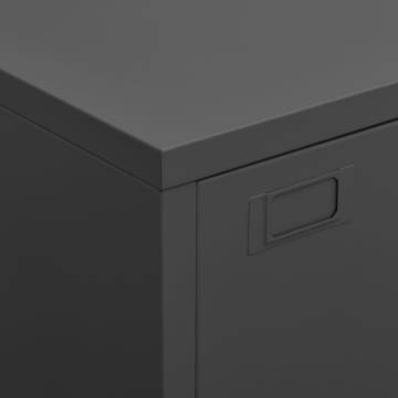 Industrial Storage Chest Anthracite - 75x40x115 cm Metal