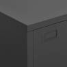 Industrial Storage Chest Anthracite - 75x40x115 cm Metal