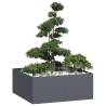  Planter Anthracite 100x100x40 cm Steel Colour steel/anthracite Size 100 x 100 x 40 cm Quantity in Package 1 