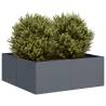  Planter Anthracite 80x80x30 cm Steel Colour steel/anthracite Size 80 x 80 x 30 cm Quantity in Package 1 