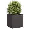  Planter Black 40x40x40 cm Cold-rolled Steel Colour steel/black Size 40 x 40 x 40 cm Quantity in Package 1 