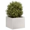  Planter 40x40x30 cm Stainless Steel Colour stainless steel Size 40 x 40 x 30 cm Quantity in Package 1 