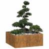  Planter Rusty 100x100x40 cm Weathering Steel Colour weathering steel/brown Size 100 x 100 x 40 cm Quantity in Package 1 