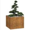  Planter Rusty 100x100x80 cm Weathering Steel Colour weathering steel/brown Size 100 x 100 x 80 cm Quantity in Package 1 